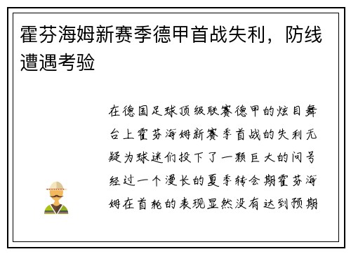 霍芬海姆新赛季德甲首战失利，防线遭遇考验
